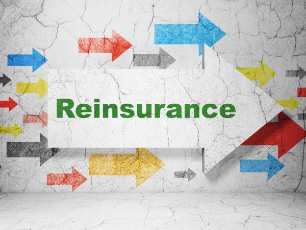 Insurance concept:  arrow with Reinsurance on grunge textured concrete wall background, 3D rendering